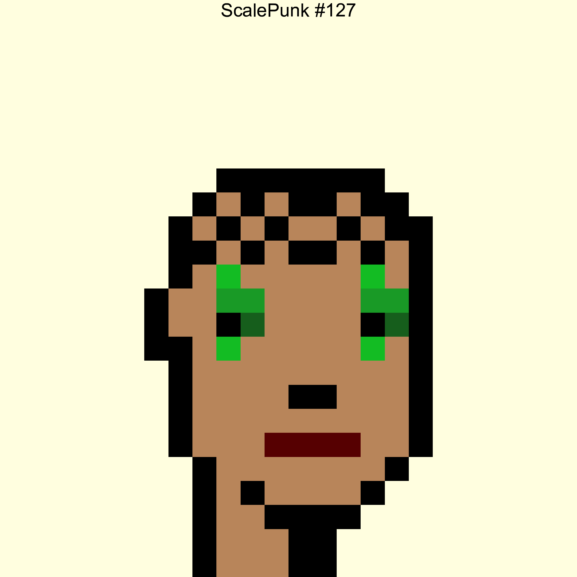 Punk 127