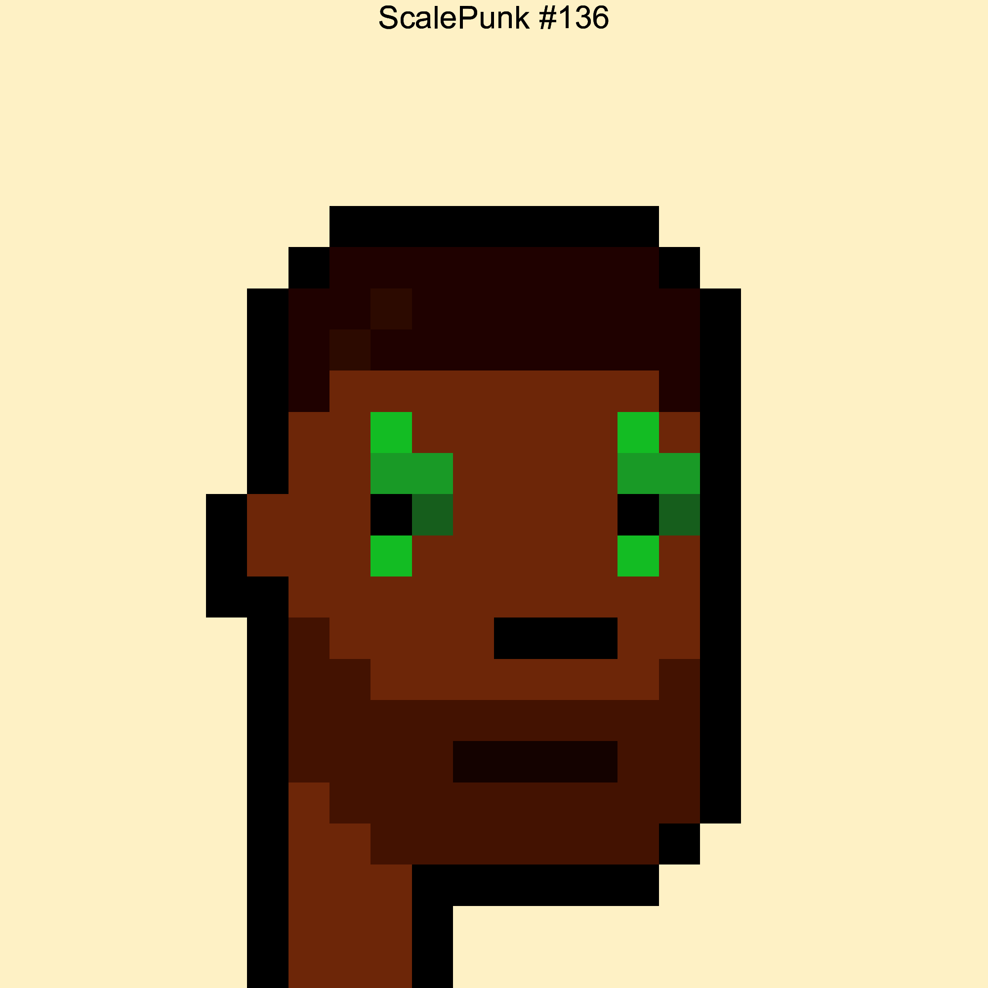 Punk 136