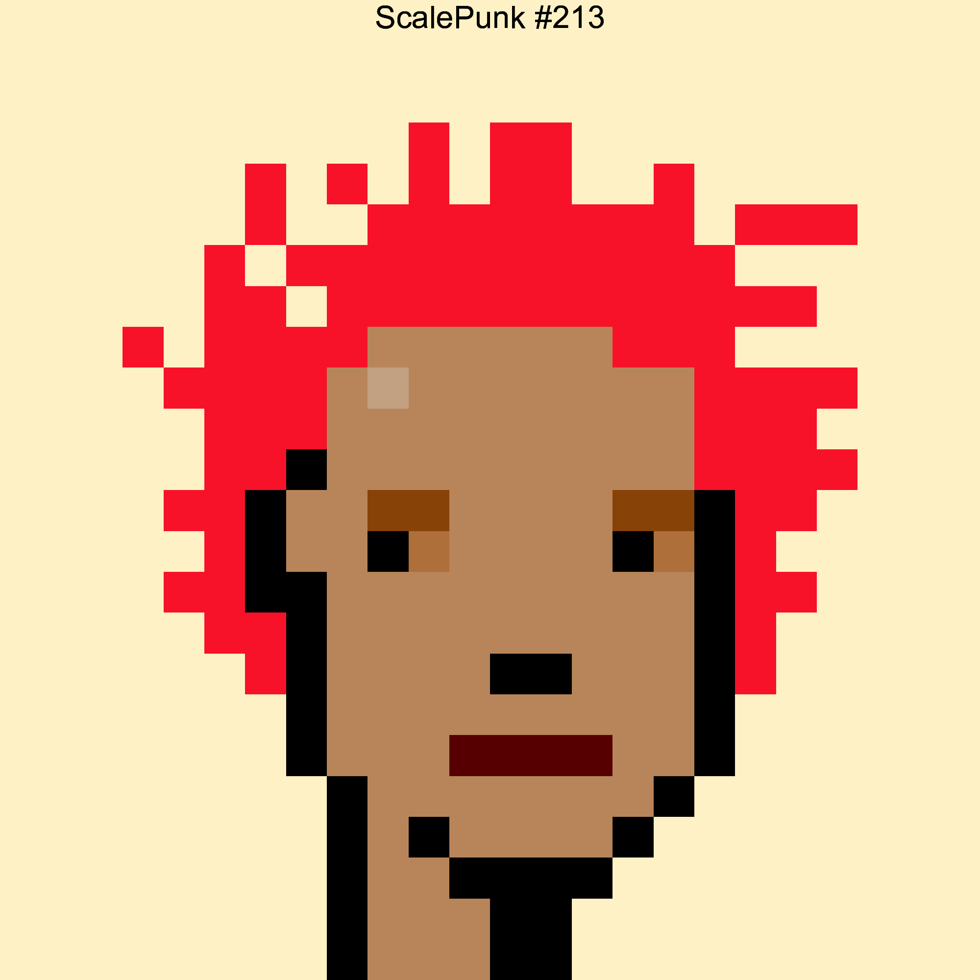 Punk 213