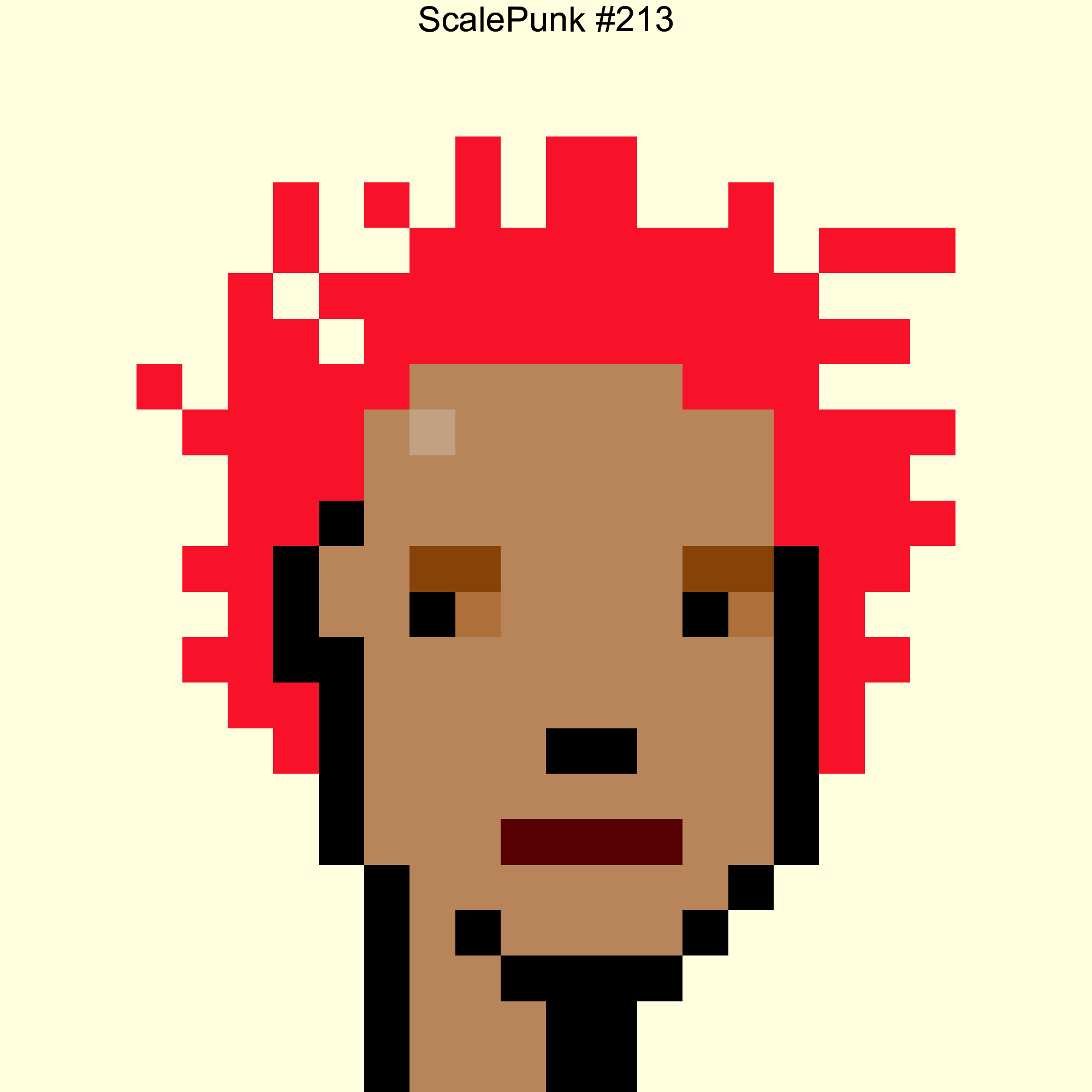 Punk 213