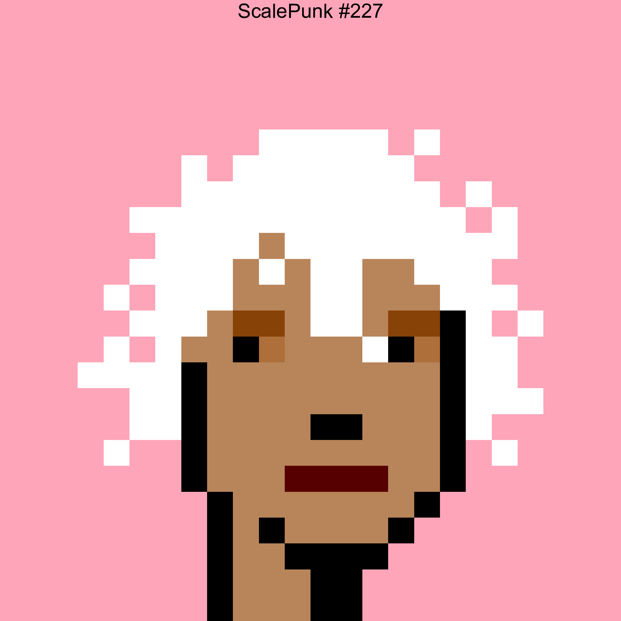 Punk 227