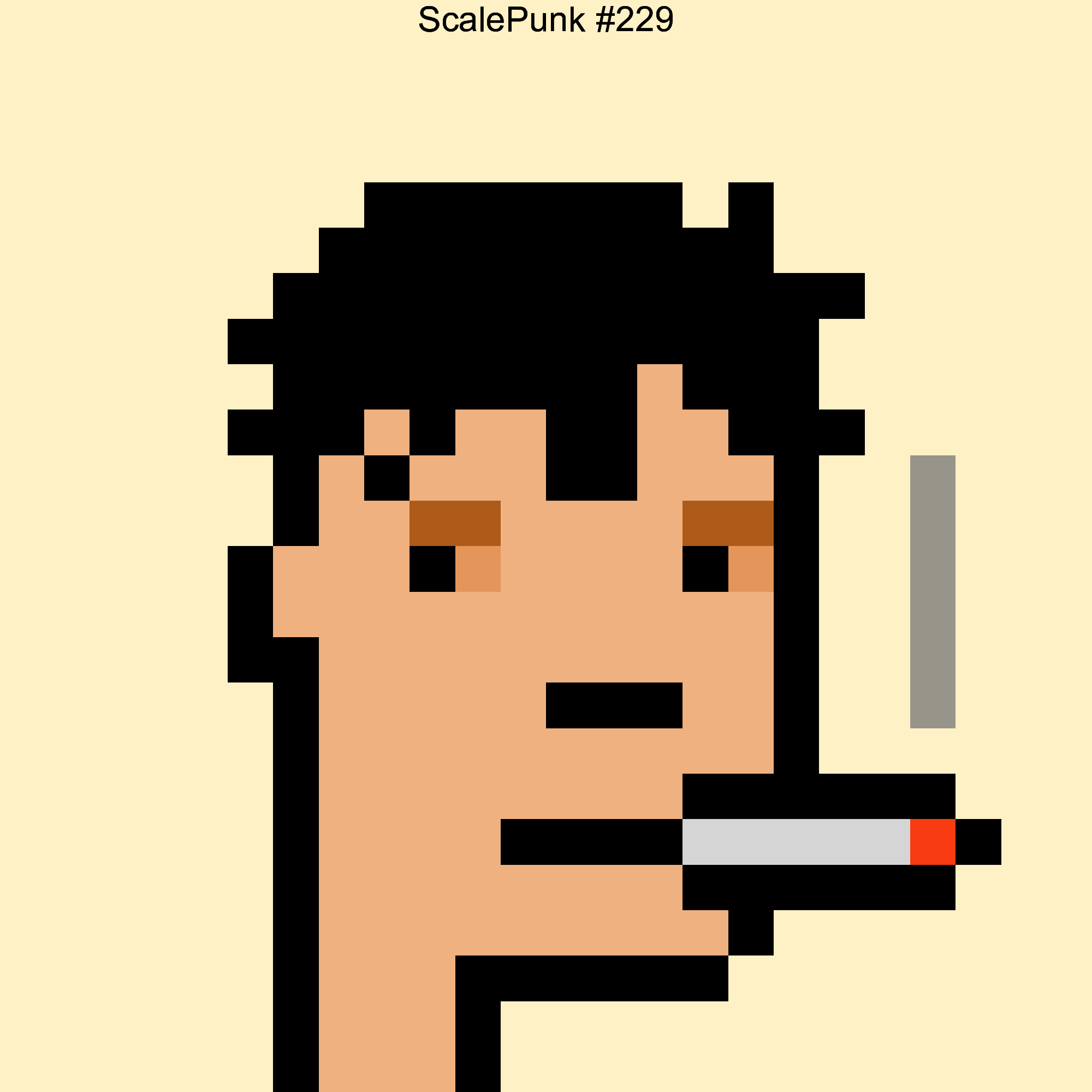 Punk 229