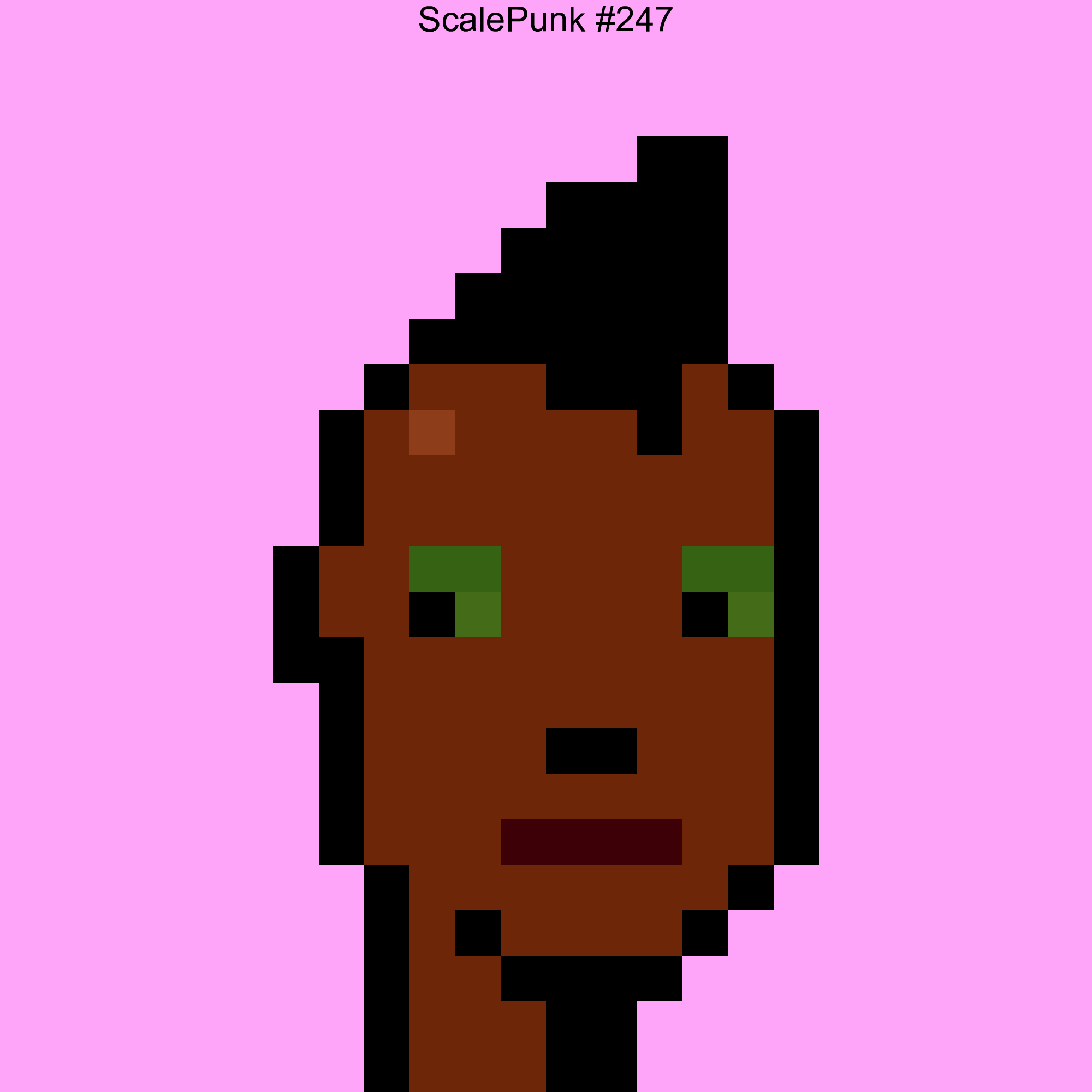 Punk 247