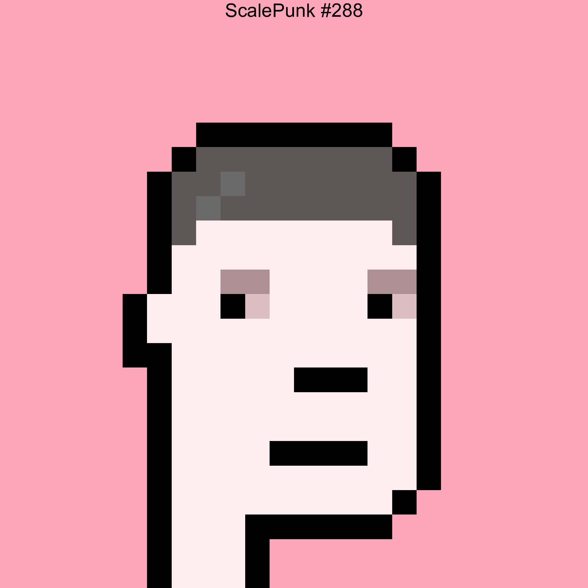 Punk 288