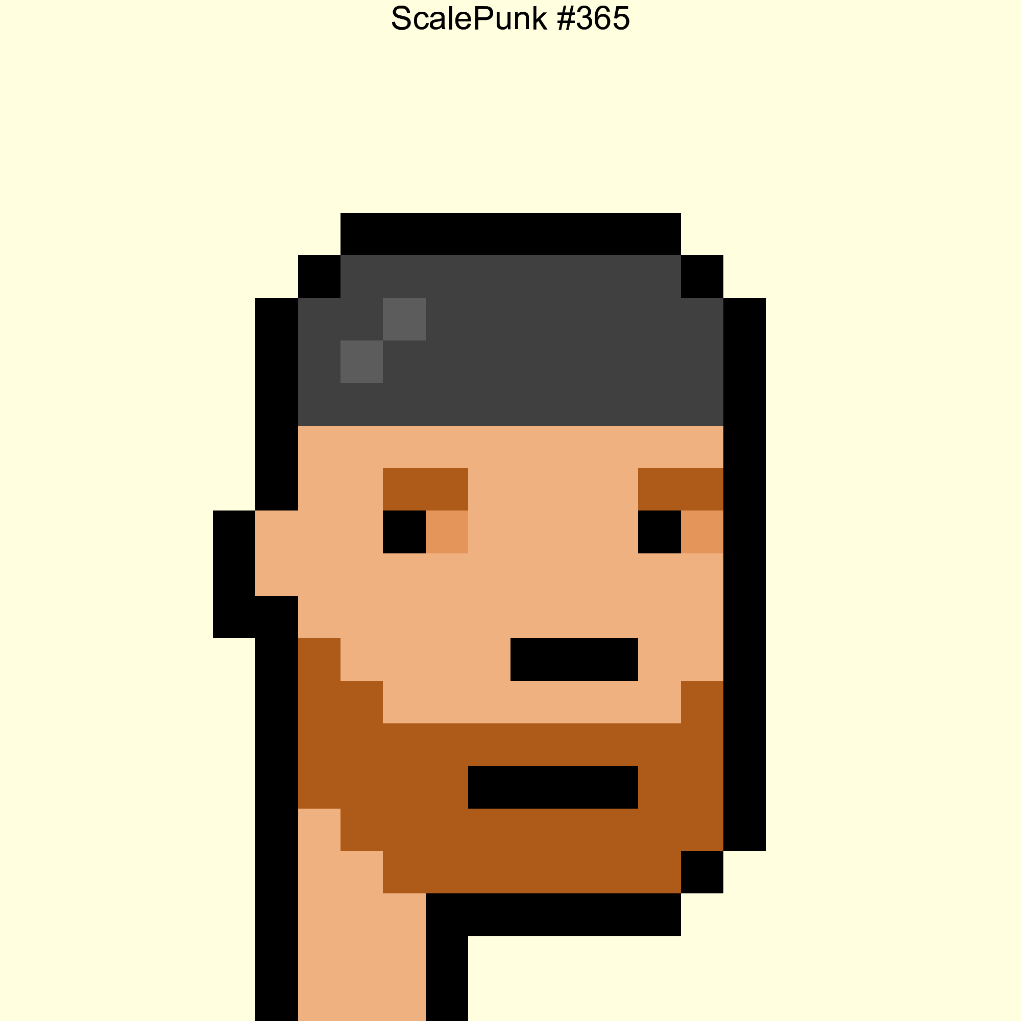 Punk 365