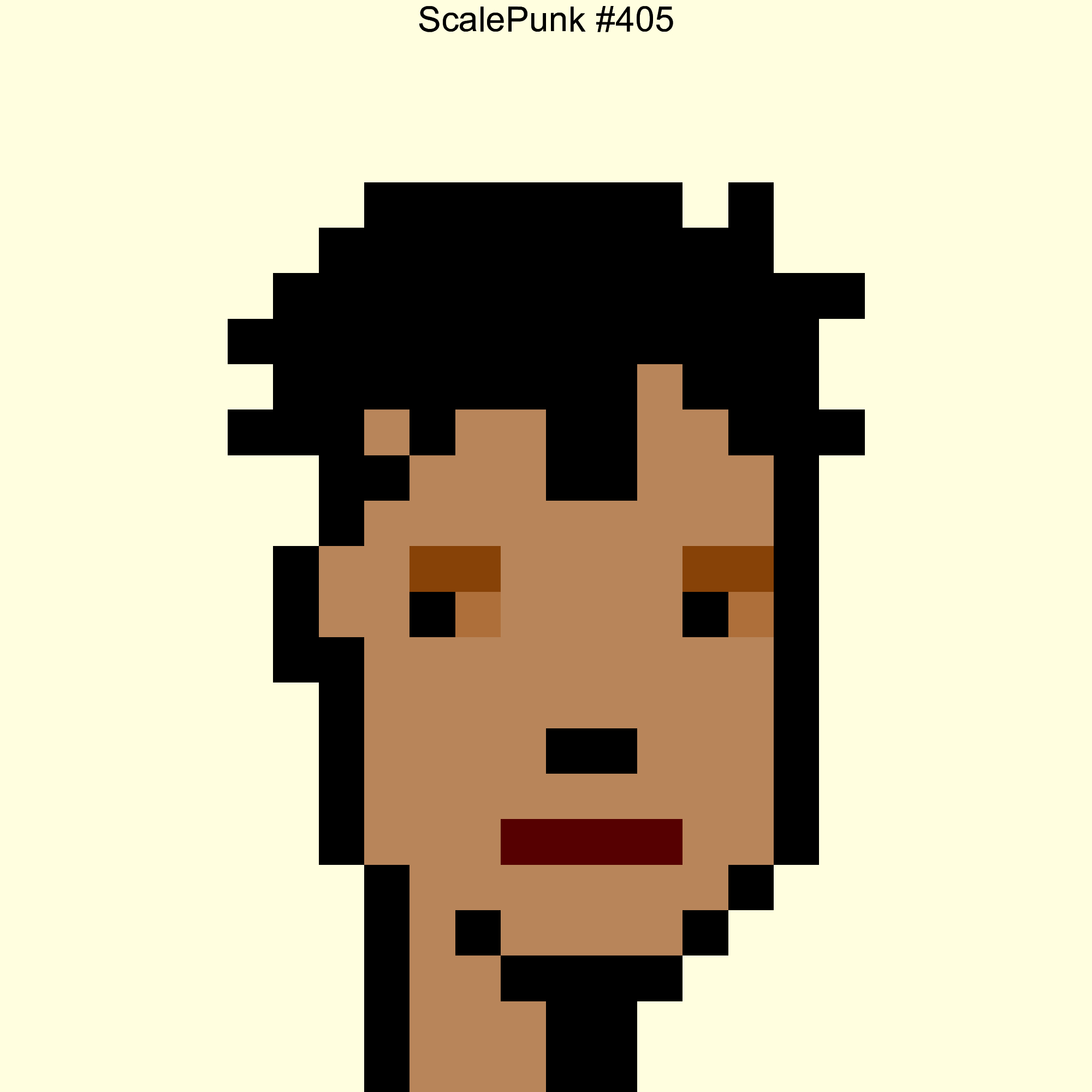 Punk 405