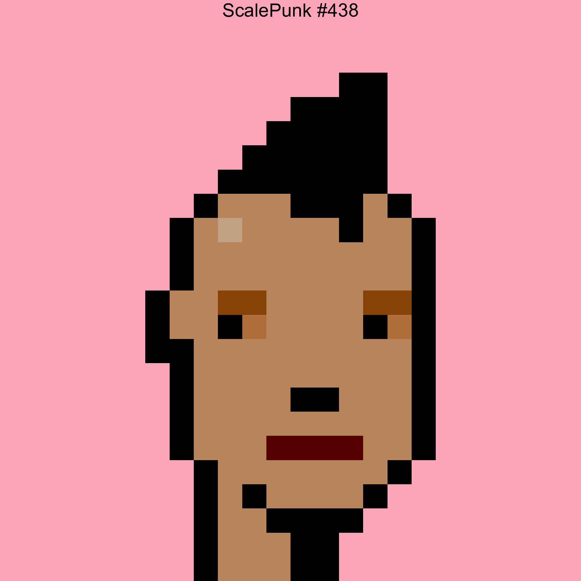 Punk 438