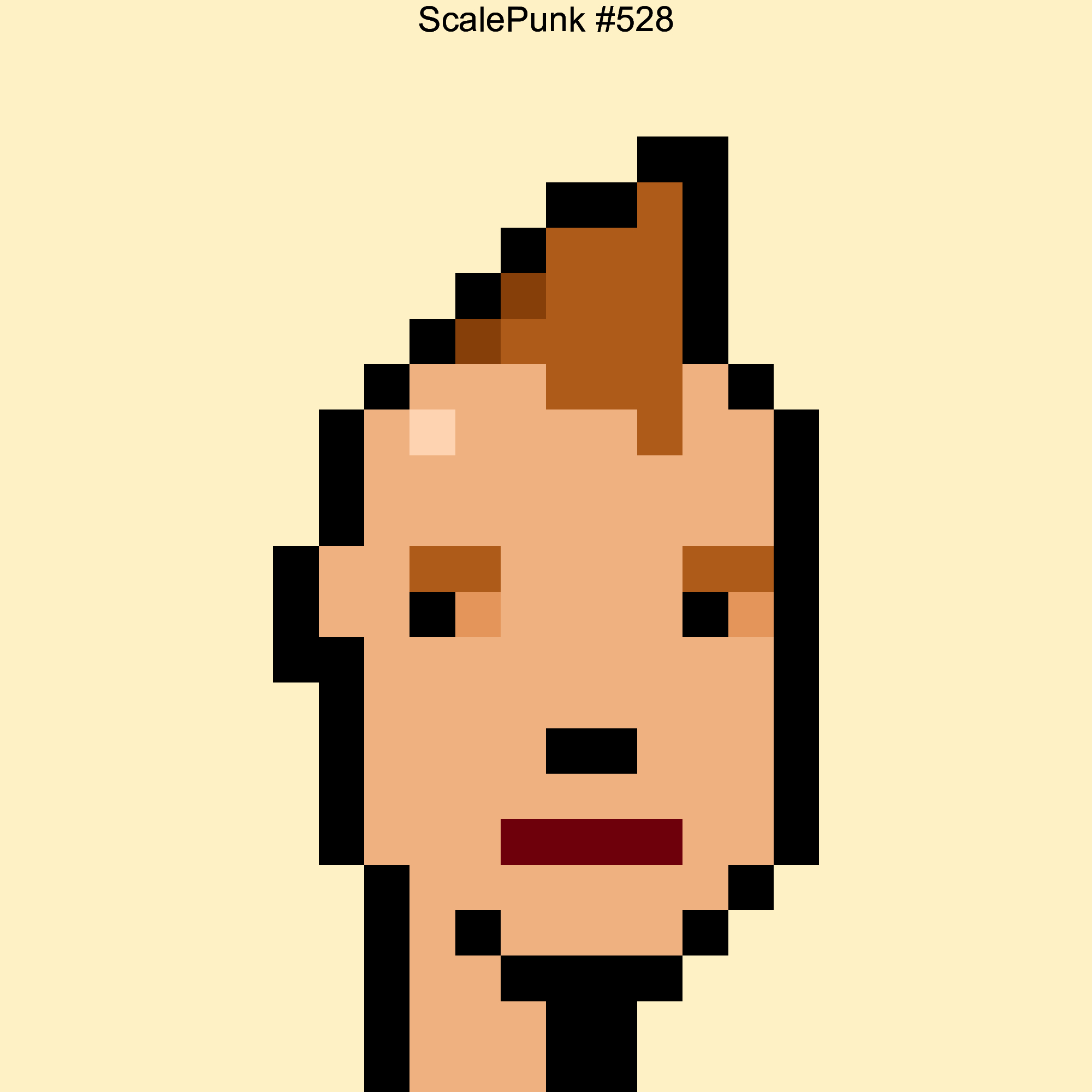 Punk 528