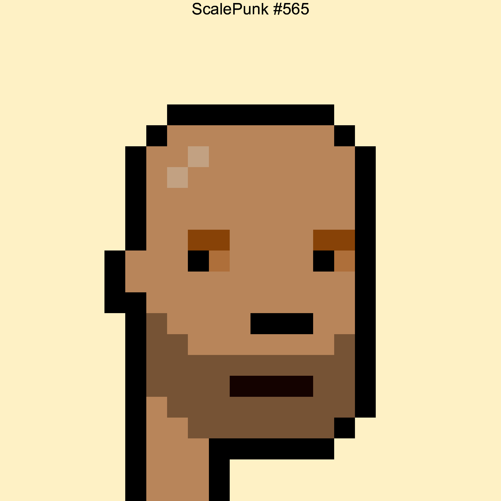 Punk 565