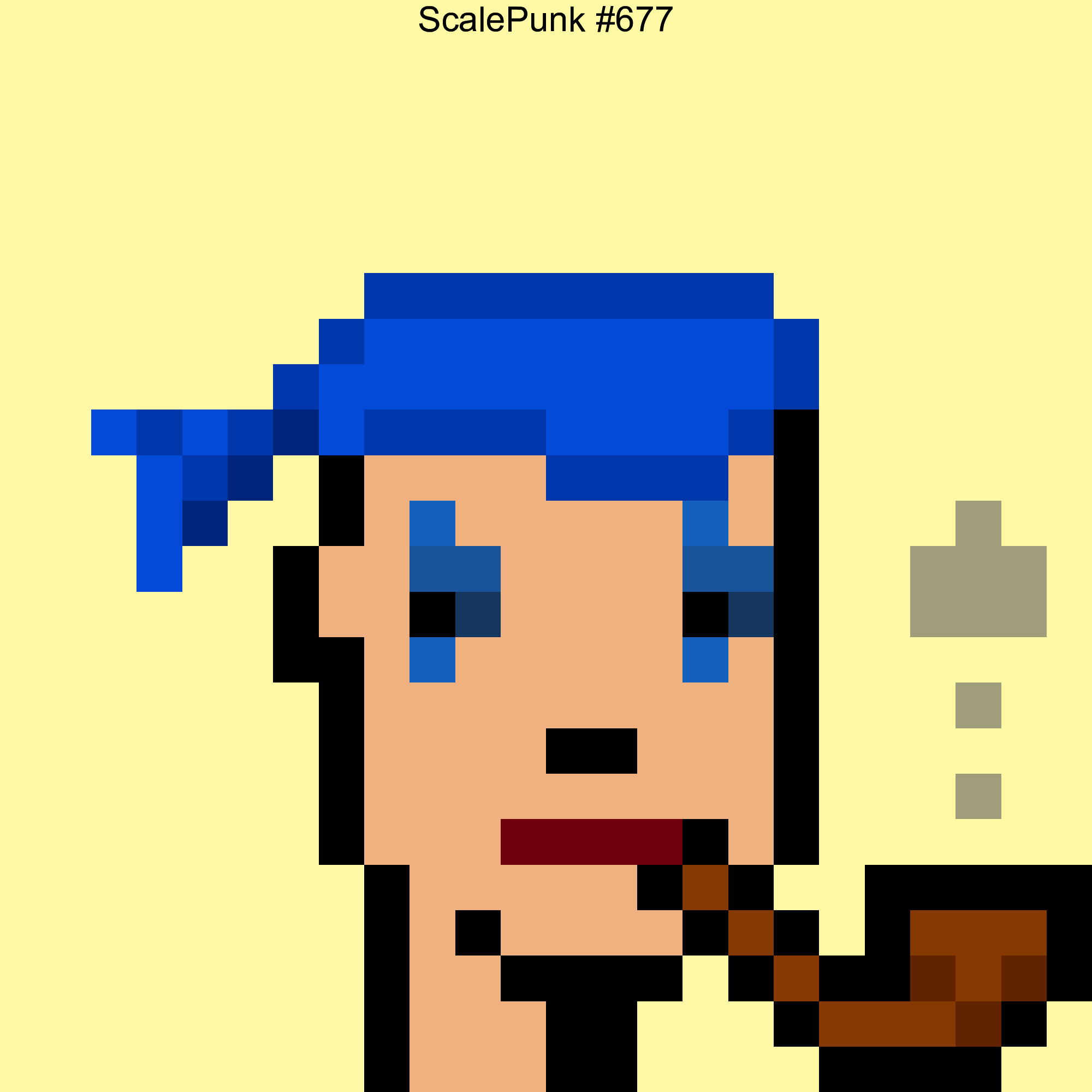 Punk 677