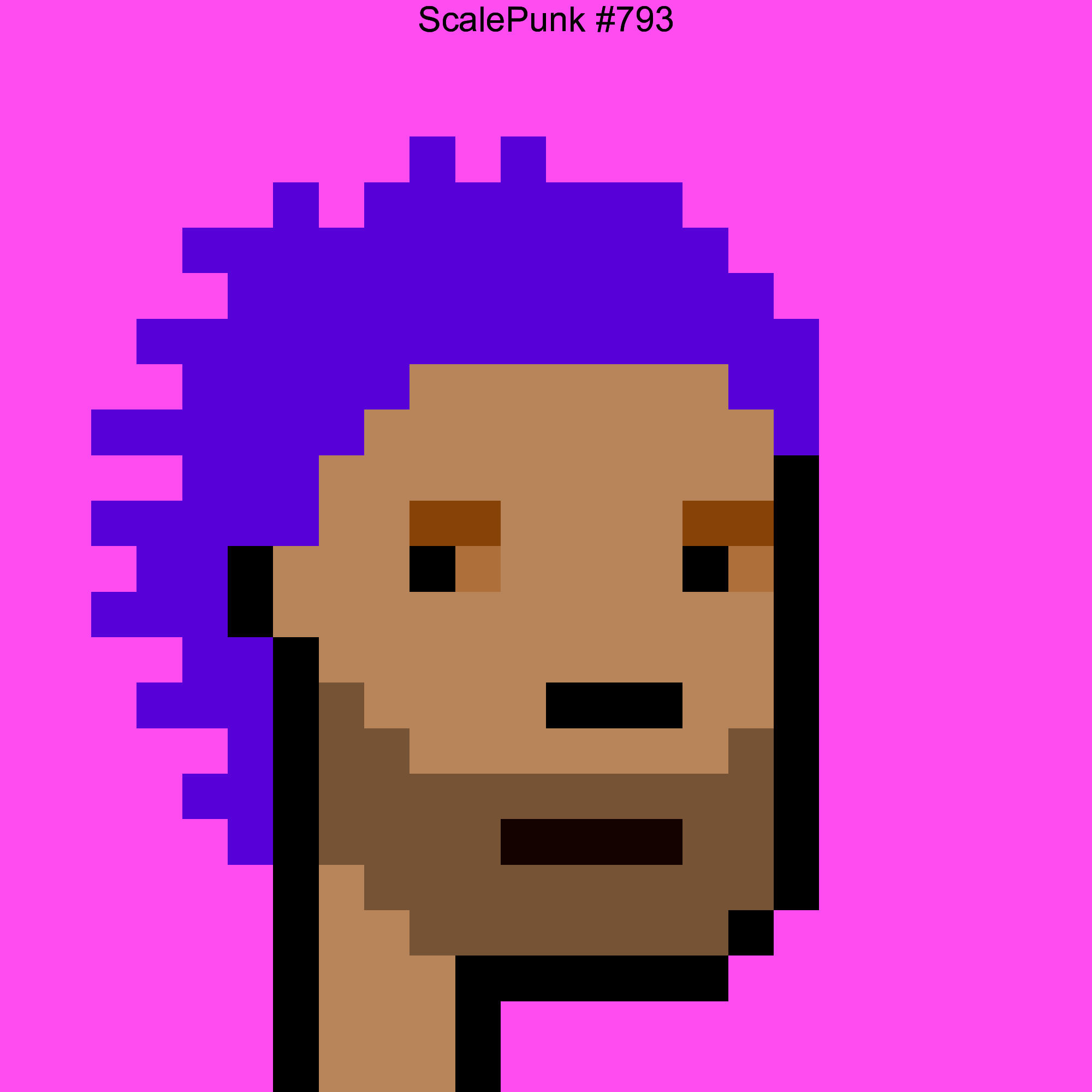 Punk 793