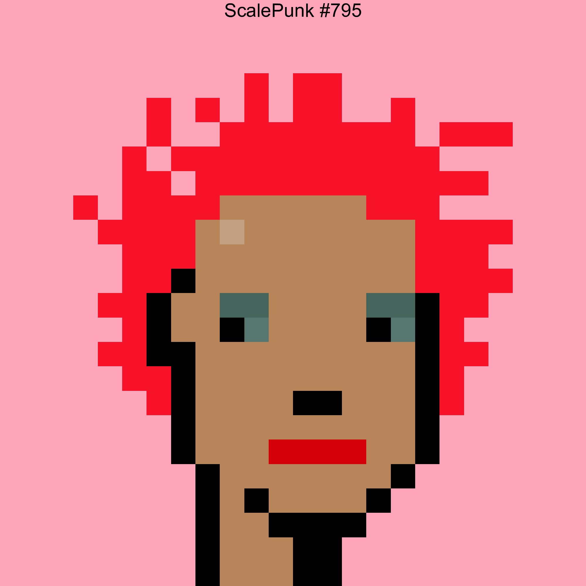 Punk 795