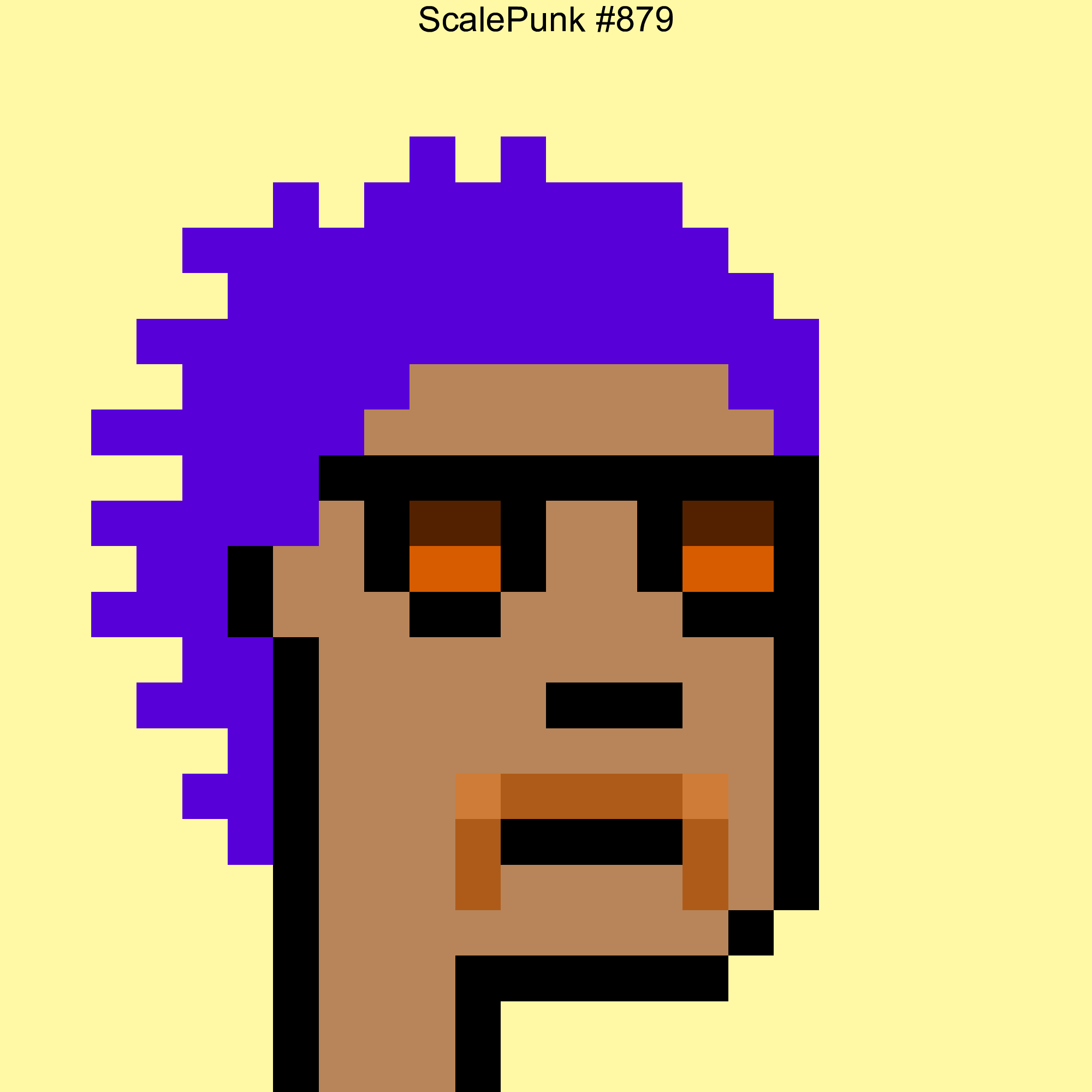 Punk 879