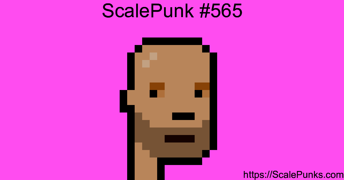 ScalePunk #565